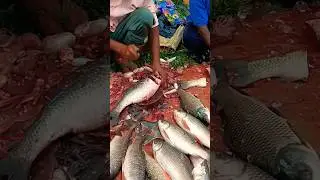 Wow!! Fresh Rohu fish cutting skills in tamil 😱🇮🇳 local market 😱#shorts