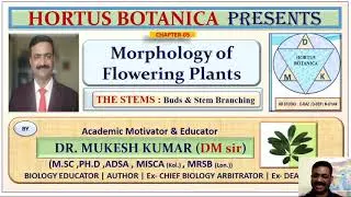 MORPHOLOGY OF FLOWERING PLANTS | THE STEMS - BUDS & STEM BRANCHING | NEET (UG)  CLASS XI | DM SIR