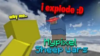 The Hypixel Sheep Wars Experience..