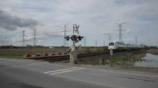 GO TRAIN. MILTON AT 5TH LINE