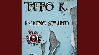 Fucking Stupid (Original Mix)