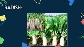 Herbs Name | What are the names of Herbs | What are the 10 Examples for Herbs #herbs #example