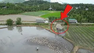 It was great to watch the ducks load into the truck from above with us. Ducks Farm VN