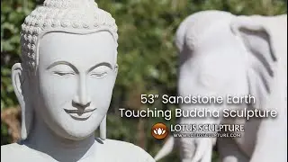 53