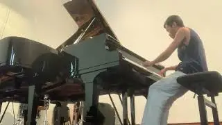 Liszt, Sonnet 104 de Pétrarque (S. Hoarau-Augé)