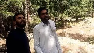Move Dasso to Kutwaal