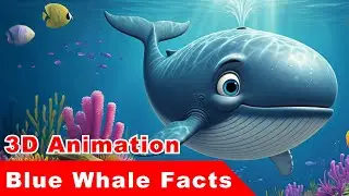 Blue Whale Facts: The Biggest Animal on Earth | Fun 3D Adventure for Kids | Ocean Animals & Stories