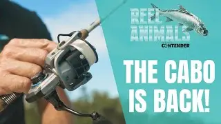 The Quantum Cabo Is Back! | Reel Animals Fishing