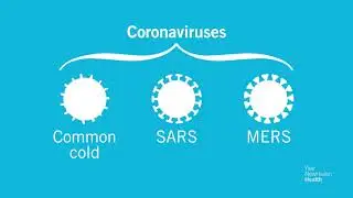 COVID-19 Update with YNHHS' Dr. Richard Martinello