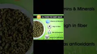 Boltz Premium Adult Pellet Rabbit Food: Expert Nutrition for Your Furry Friend | Rabbit Food 1.2KG
