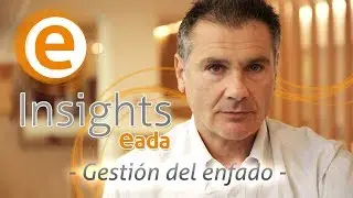 Gesti&oacute;n del enfado (Anger Management) - Carles Brugarolas - EADA Insights