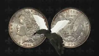Wings of error, $43,200! #treasures #viral #collection #coins #coin #motivation #rarecoins #money