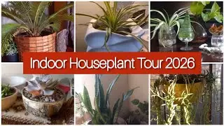 Indoor Houseplant Tour 2026 | Indoor Plant Collection #houseplants #indoorplants #gardening 