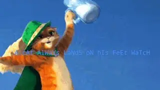 XPS short: a cat always lands on his feet