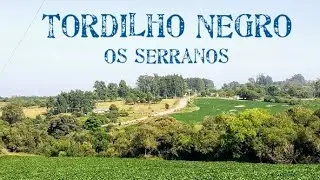 TORDILHO NEGRO com letra OS SERRANOS, Passo do Rosário, Santiago RS 