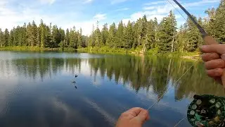 30+ Trout fishing in BEAUTIFUL Washington Alpine Lake