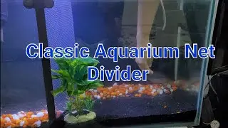 Aquarium Transparent Net Divider /How to separate Agressive Fish/ Venus Aqua Aquarium Divider