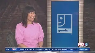 Goodwill Day