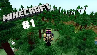 Minecraft #1 [First Day]