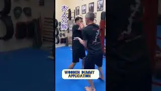 #wingchun #kungfu #woodendummy #applications #hongkong #martialarts #short#香港 #詠春拳 #武術 #沖縄 #道場 #ショート