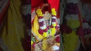 Sai Palkhi status #saibaba #palkhi2025 #palkhisohla #status #shorts #ytshorts #viral #trending