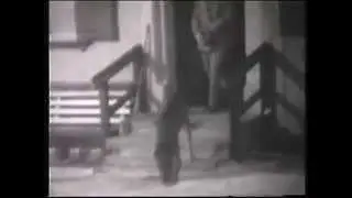 Abdrushin, M&aacute;ria, Irmingard