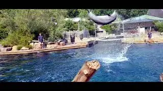 Tierpark Nürnberg