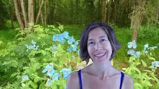 Capricorn June 2015 Horoscope Forecast