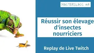 Masterclass terrariophiles #14 : R&eacute;ussir son &eacute;levage d'insectes nourriciers