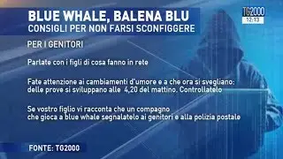 Blue Whale, come difendersi da una sfida che porta alla morte. I suggerimenti della Polizia Postale