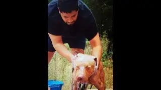 Gr Ch Machobuck truth, clip from Chico Lopez's live