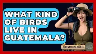 What Kind Of Birds Live In Guatemala? - Bird Watching Diaries