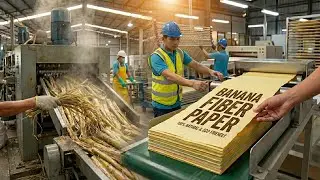 How Paper Is Made From Banana Stems | Full Factory Process Explained