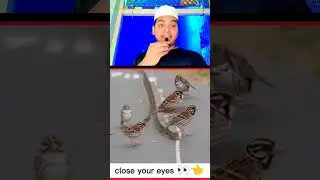 clos your eyes 👀 50%🕋🕋❤️#nabi #nabipakﷺ #nabimuhammad #shorts #trending #feed #page #video 👀🕋🕋🕋❤️🕋🕋