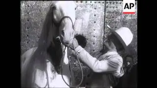 Tom Mix and His Horse 