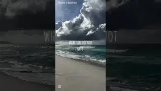 best quote from 