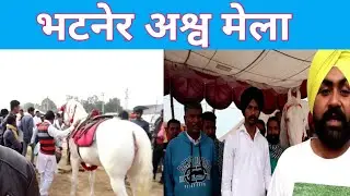 BHATNER ASHAV MELA | HANUMANGHAR HORSE MELA | भटनेर अश्व  मेला