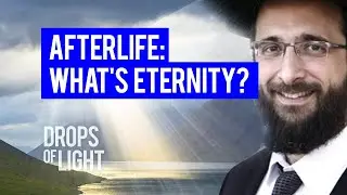 Afterlife: What is Eternity? (100 Sec) Rabbi David Genish