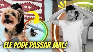 COMENDO ESCARGOT? | VLOG&Atilde;O DA SEMANA | CASAL GAY