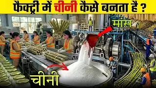फैक्ट्री में चीनी कैसे बनता है ? | How Sugar is Made from Sugarcane in Factory
