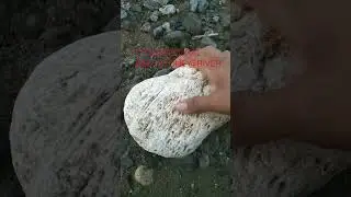 CORAL REEF STONE #stone
