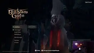 Baldur's Gate 3 Solo Honormode Part 2