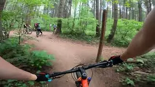 Swan Creek Park: Hustle and Flow
