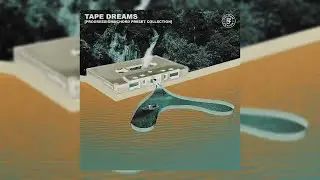 Tape Dreams Progressions I 🎹 (MIDI Chord Preset Pack for Ripchord)