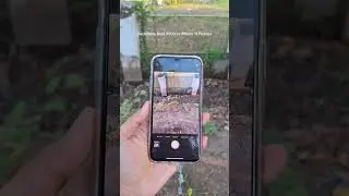 BlackBerry Bold 9900 vs iPhone 11 ProMax camera comparison. #blackberry #iphone #camera