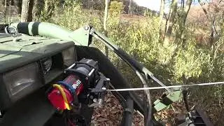 電動ウィンチで大木を引っ張り切り倒す