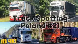 Truck Spotting Poland #21 ( IN 4K! )
