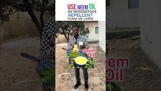 Use Neem seed oil as mosquitoes repellent and thank me later