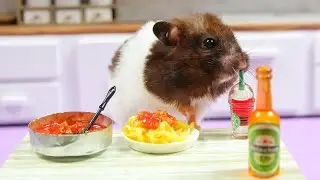 🐹 Eating SPAGHETTI with Hamster pets | Mini cooking