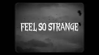 Zior Park - FEEL SO STRANGE (Lyric Video)
